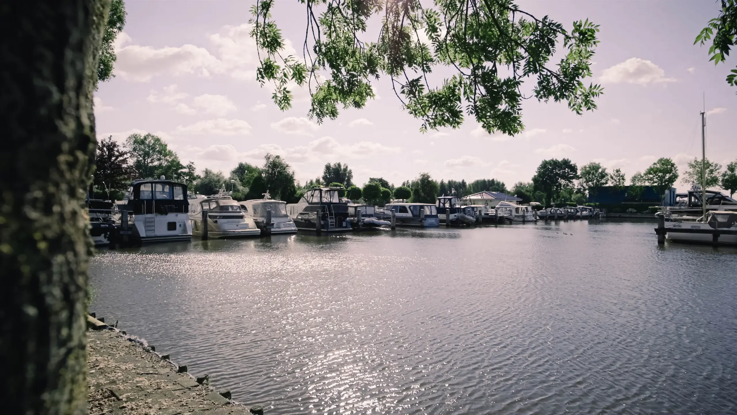 Jachthaven Akkrum Marina Jirnsum 3