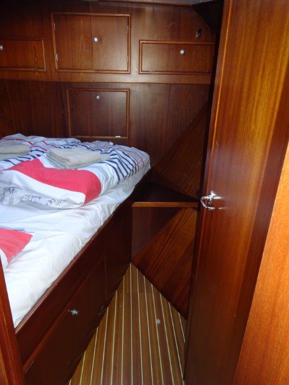 felize elite 2019 009