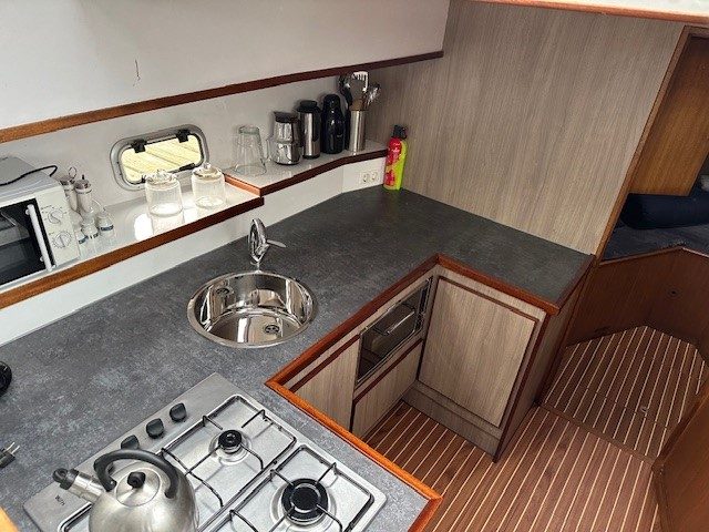 Victus 206
